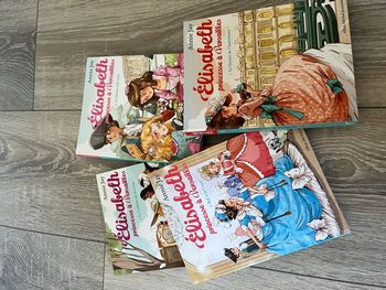 Lot 4 livres Elisabeth princesse à Versailles
