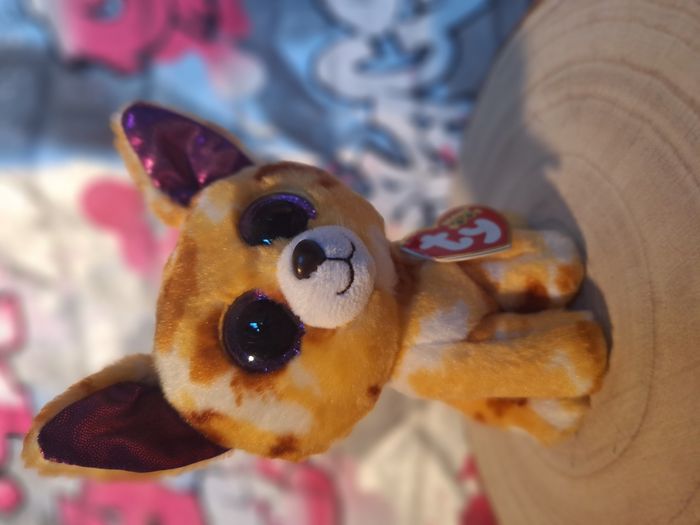 Peluche de collection Ty Beanie Boos PABLO Chihuahua 2015 - photo numéro 4