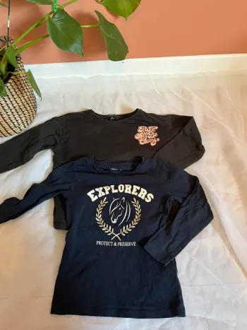 Lot 2 teeshirt manches longues taille 4 ans