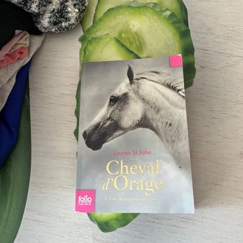 Livre « Cheval D’Orage »