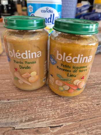Bledina