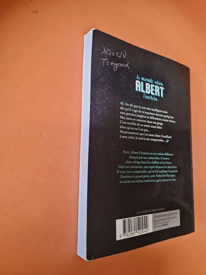 Le monde selon Albert Einstein - Brigitte kernel - photo numéro 3