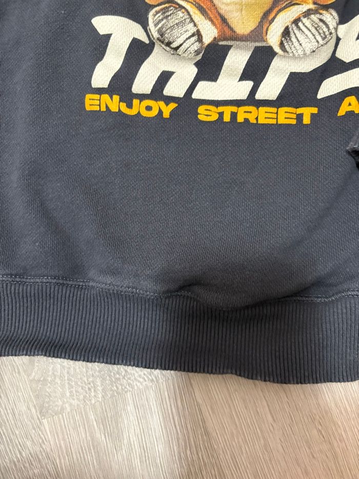 Sweat 5 ans Zara - photo numéro 2