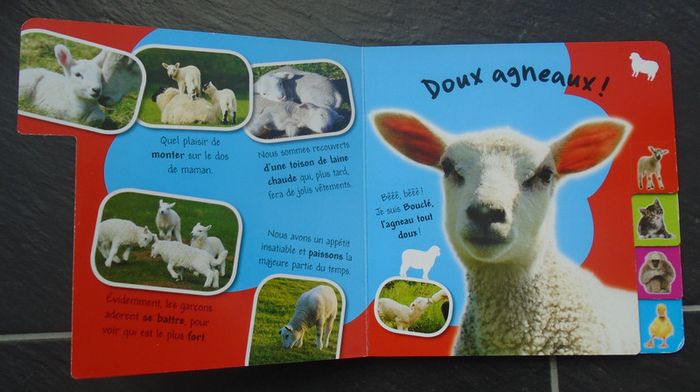 Joli livre "les bébés animaux" - photo numéro 3