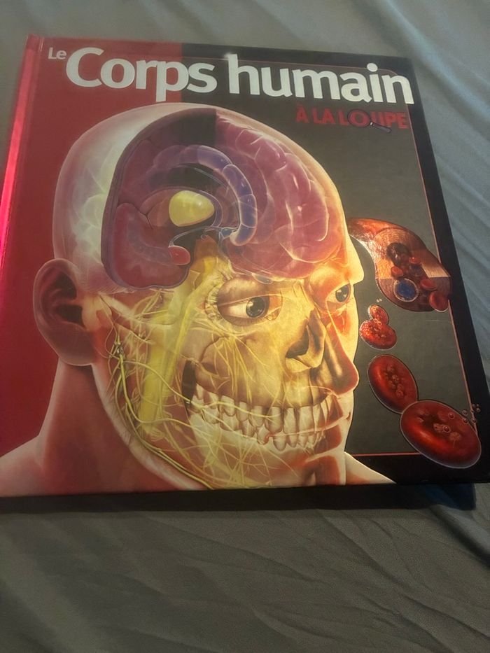 Livre Le corps humain - photo numéro 1