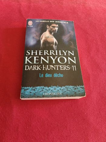 Dark Hunters Tome 11 " Le dieu déchu " Sherrilyn Kenyon