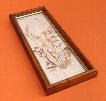 Herbier à suspendre  Fleurs séchées