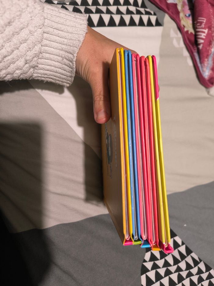 Livre T'choupi - photo numéro 4