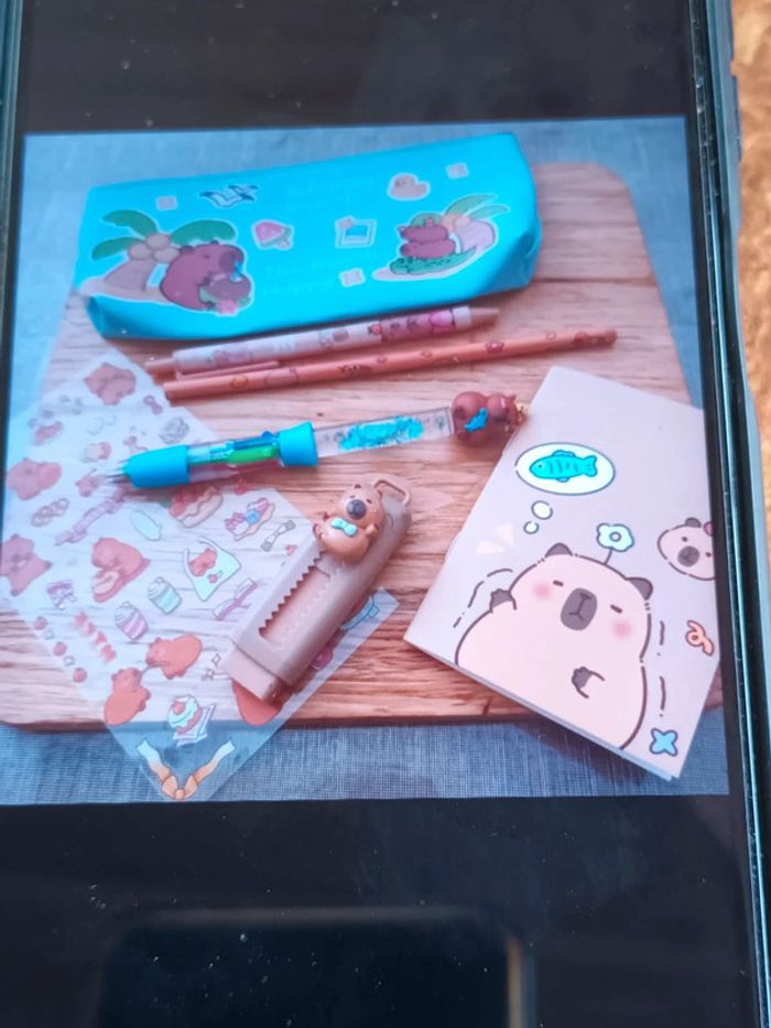 Trousse Capybara et ses accessoires