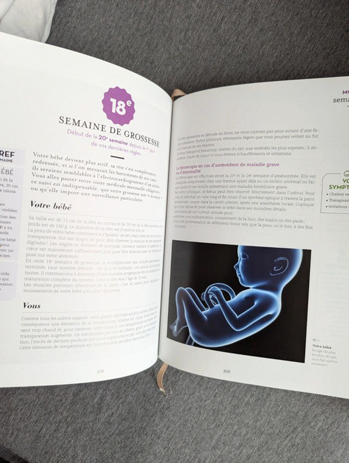 Le grand guide de la future maman semaine après semaine - photo numéro 3