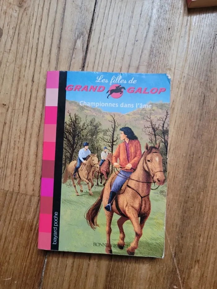 Lot 4 livres de la série Grand Galop - photo numéro 6