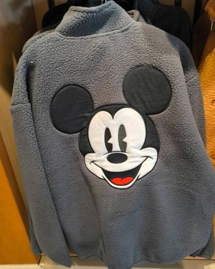 Polaire Mickey Disneyland paris - photo numéro 2