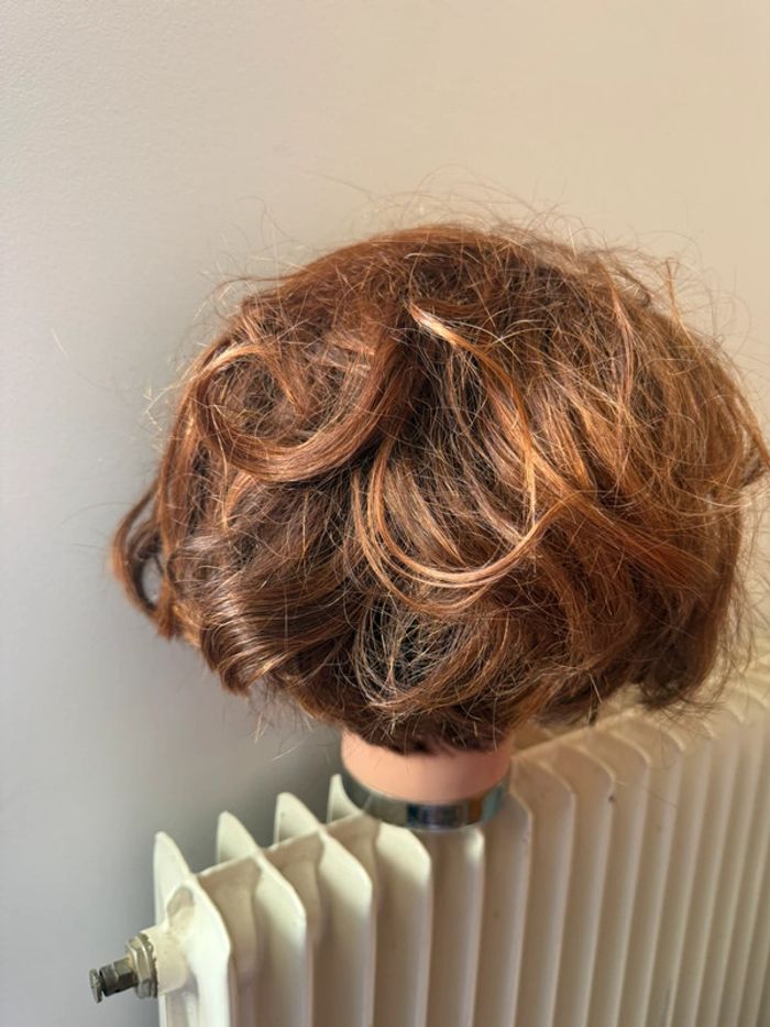 Tête Malléable Professionnelle de Coiffure (Cheveux Châtain Clair Méchés) - photo numéro 3