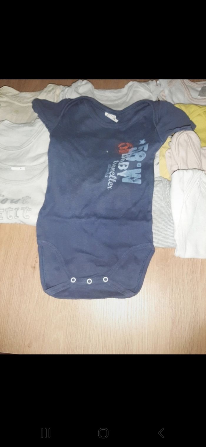 Lot de 12 bodys manches courtes taille 12 mois - photo numéro 4