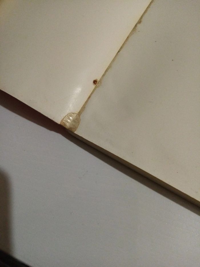 Grandes gueules superstars - photo numéro 9