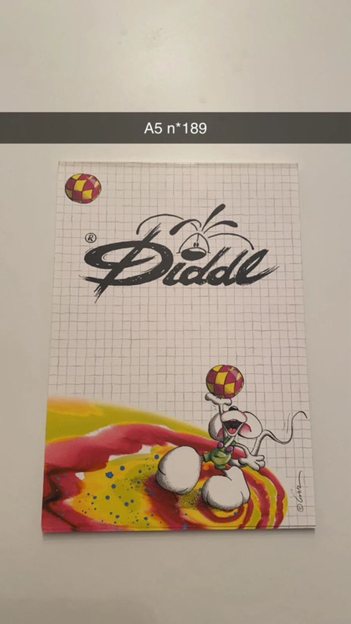 Feuille diddl A5 - photo numéro 2