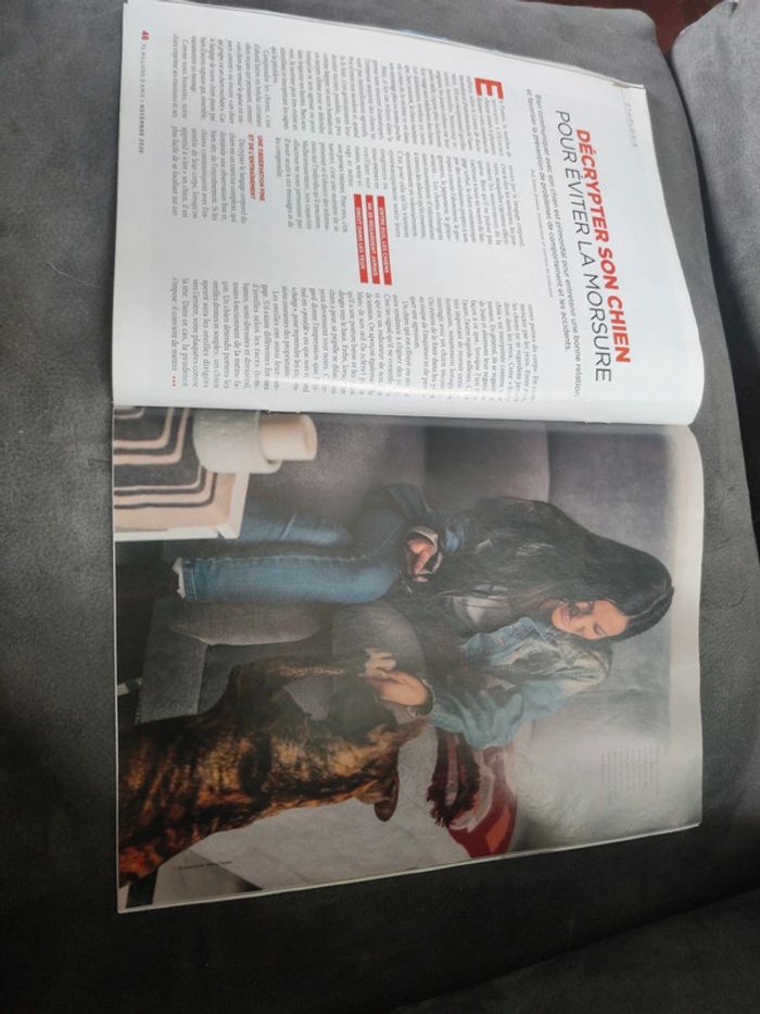 Magazine 30 millions d'amis numéro 389 novembre 2020 - photo numéro 8