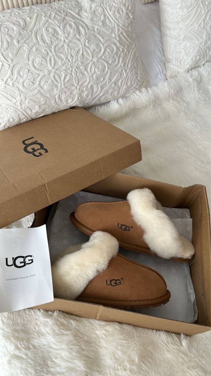 Chaussure U - photo numéro 2