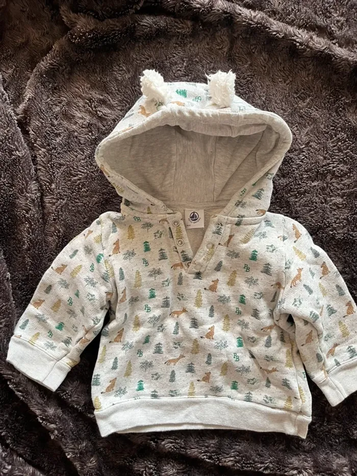 Sweat à capuche petit bateau 12 mois