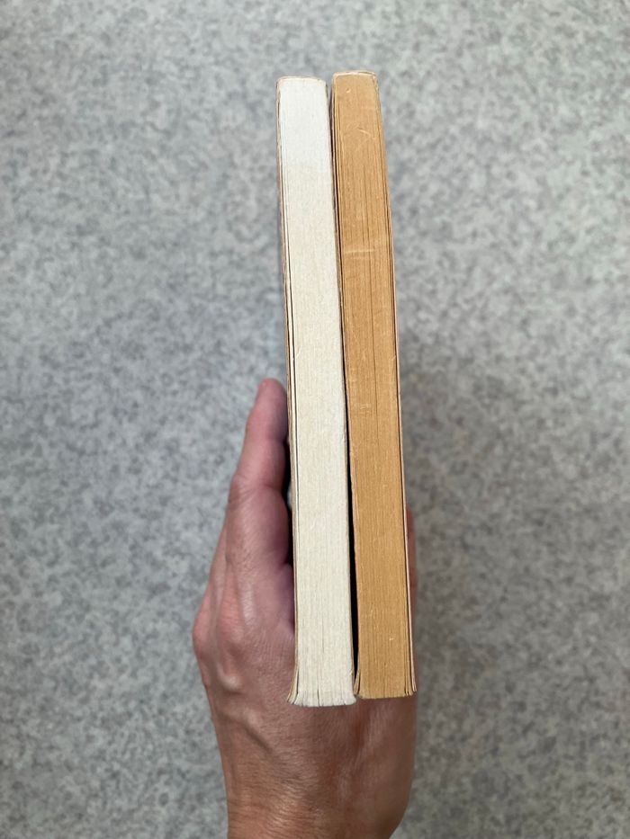 Lot de 2 livres jeunesse PKJ à partir de 7 ans (2€20) - photo numéro 5