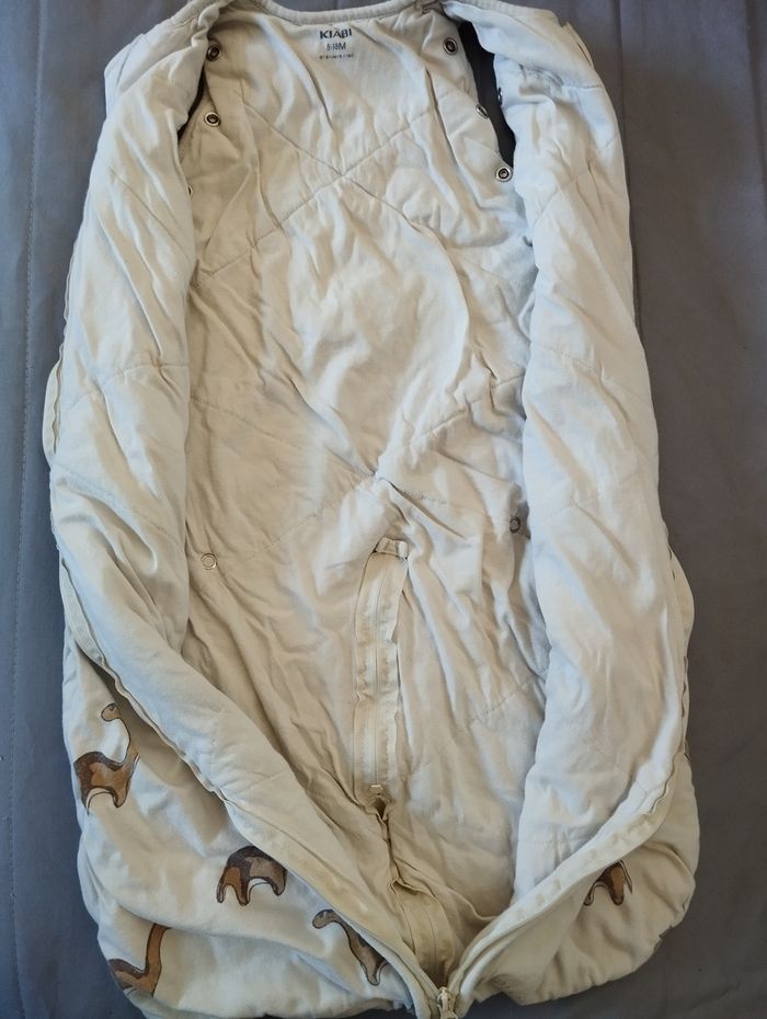 Gigoteuse dinosaure - photo numéro 3