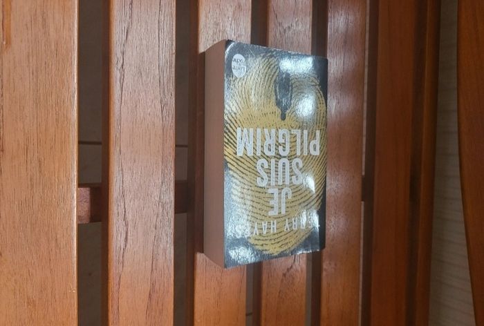 Un livre : je suis pilgrim - photo numéro 2