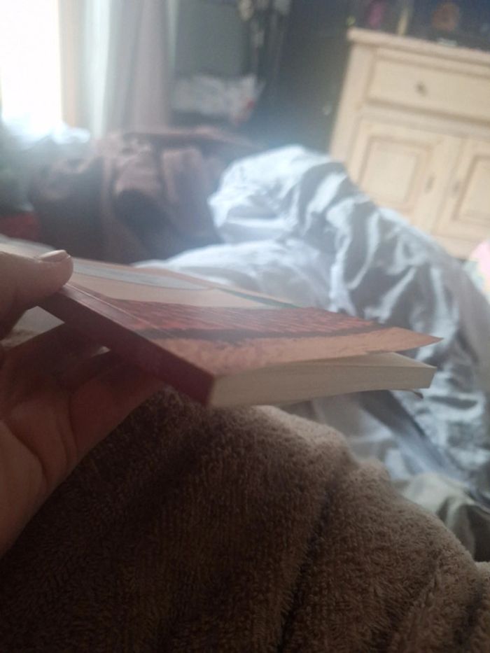 Livre points - photo numéro 2