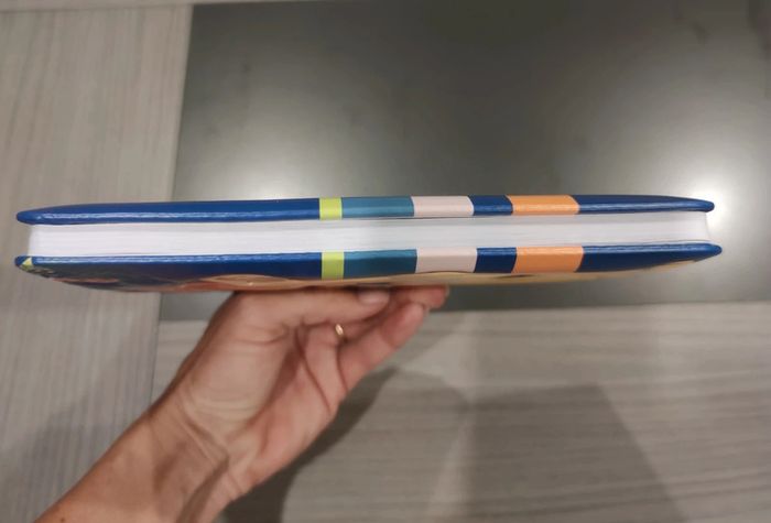 Carnet Le Roi lion - photo numéro 2