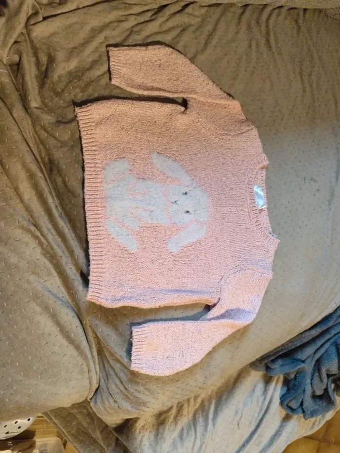 Pull lapin