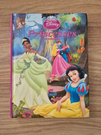 Livre princesses