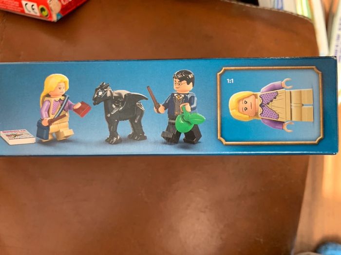 Lego 76400 Harry Potter • La diligence et les sombrals de Poudlard - photo numéro 3