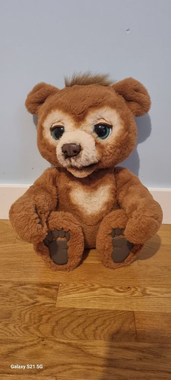 Ours animé