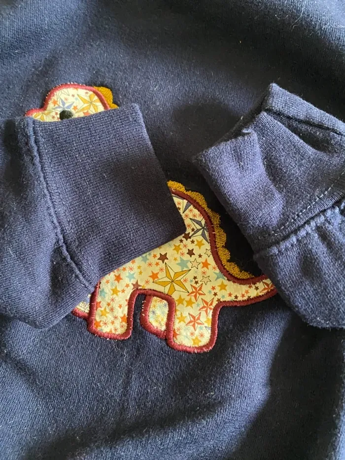 Sweat dinosaure liberty créatrice 4 ans - photo numéro 5