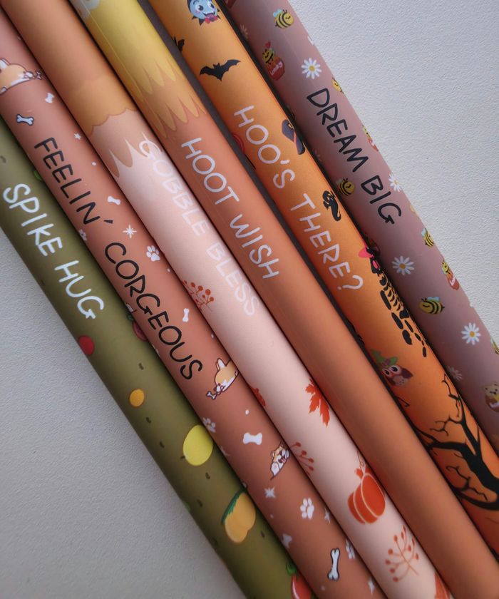 Lot de 6 stylos collection animaux kawaii - photo numéro 3