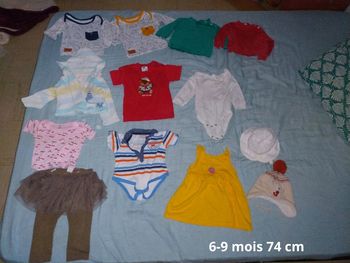 Lot vêtements bébé fille 6-12 mois