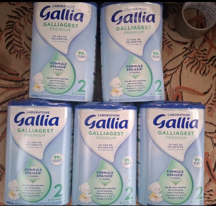 Gallia 2eme age gest - photo numéro 2