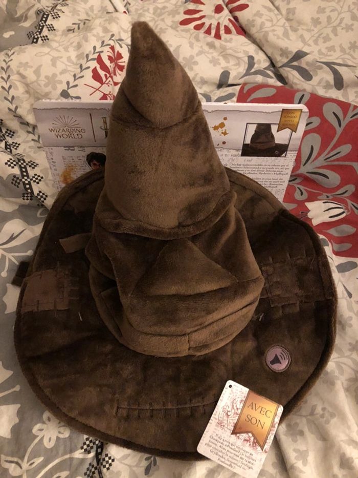 Choixpeau Harry Potter