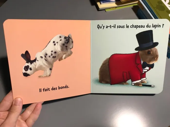 Livre le lapin pages cartonnées rigides - photo numéro 3