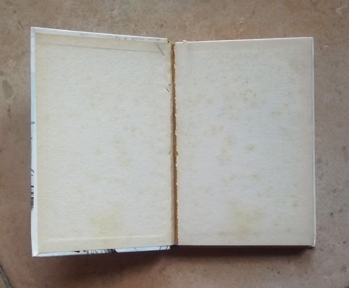 Michel par Georges Bayard Bibliothèque verte lot3 - photo numéro 5