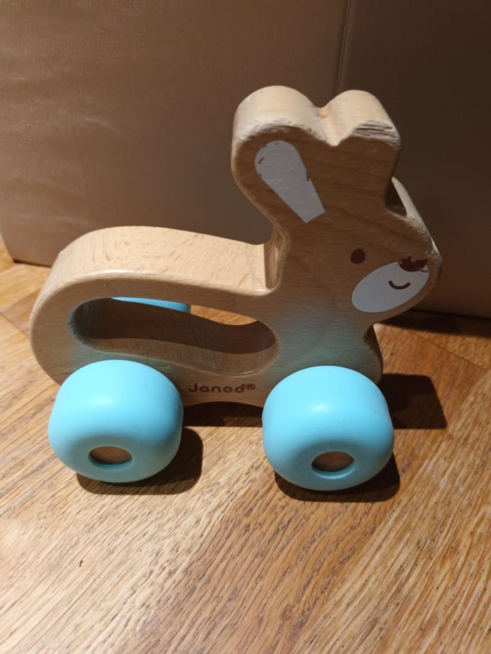 Jeu d éveil Janod à pousser