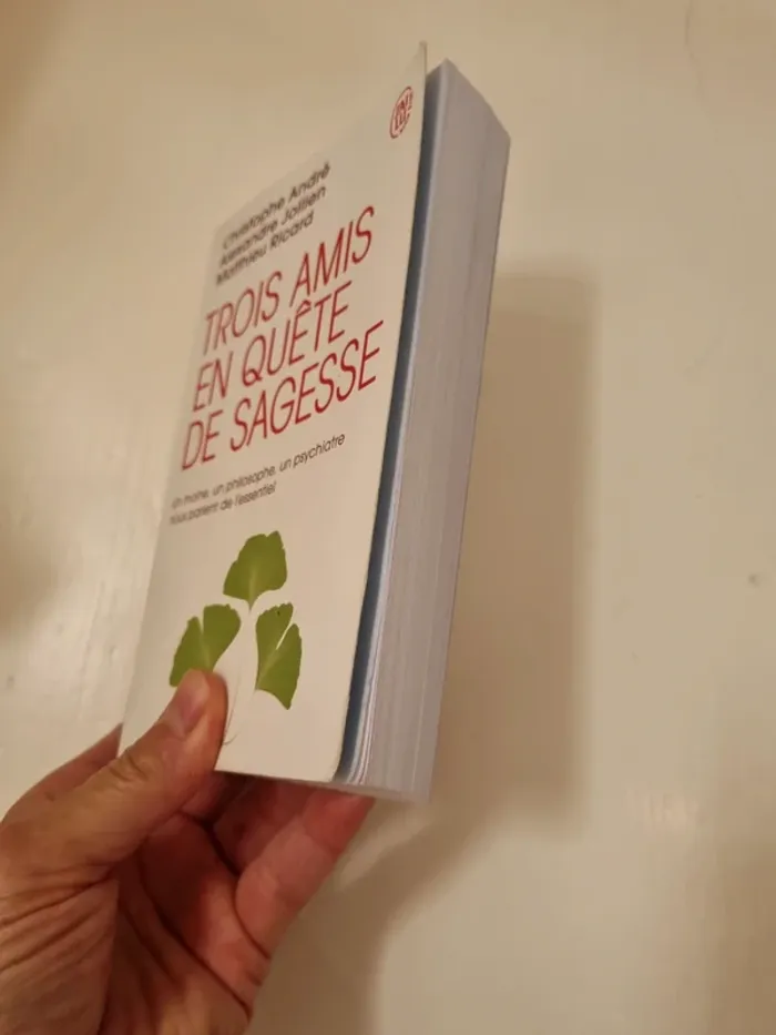 Trois amis en quête de sagesse - photo numéro 3