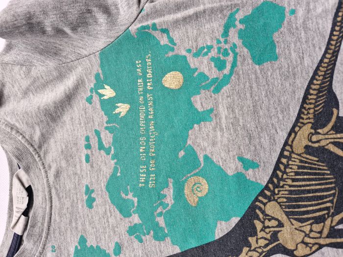T-shirts manches courtes 2/4 ans H&M Gris chiné Squelette de dinosaure Brachiosaure carte du monde - photo numéro 5