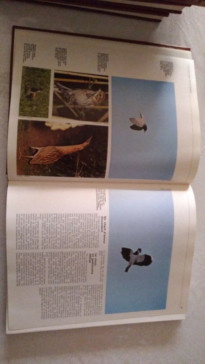 Encyclopédie Hachette n°1 - photo numéro 3