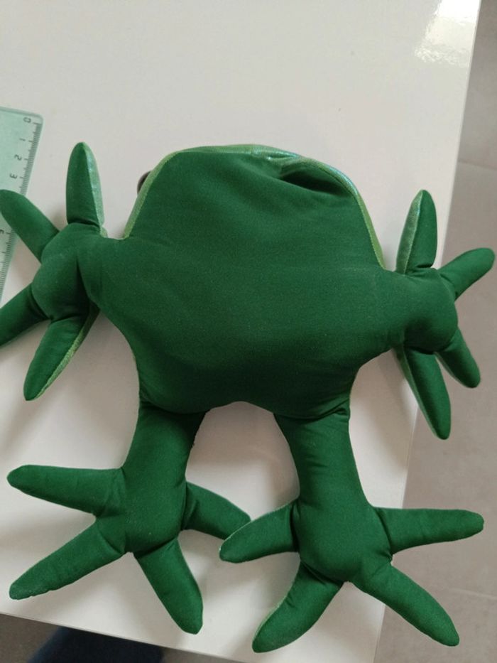 Grenouille sable - photo numéro 5