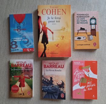 Lot 6 romans - auteurs variés - lectures sympas
