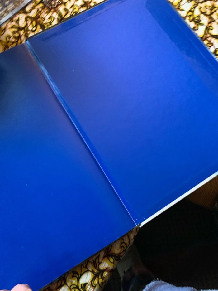 Le choix d Ivana - photo numéro 8