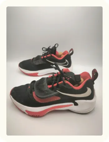 Baskets Nike Zoom freak 3 Taille 42