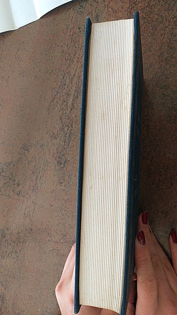 Livre roman - photo numéro 4