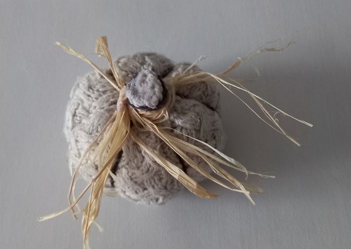 Citrouilles - photo numéro 8