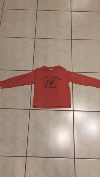 Teeshirt manches longues 2/3 ans